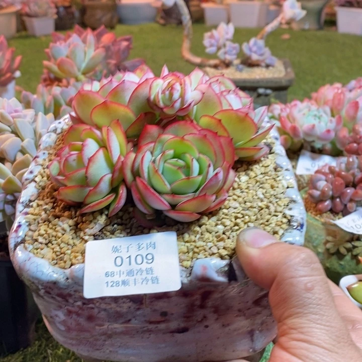 林***夕0109啊啊啊啊啊啊啊啊啊啊啊