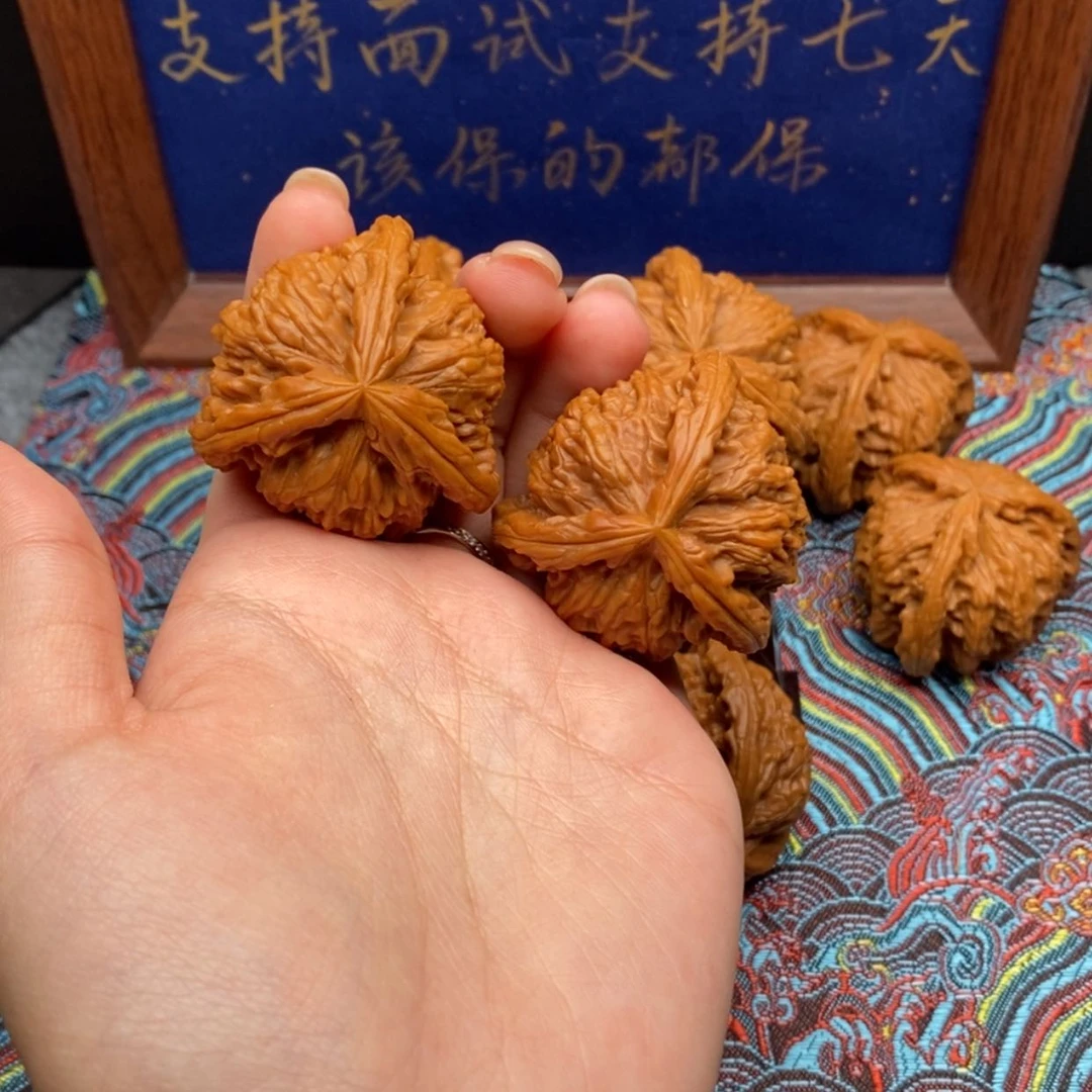 【闪购商品】专****n白狮