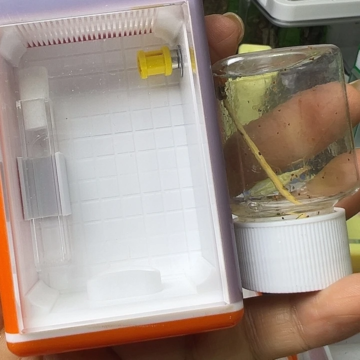 黑***锁蟋蟀哈哈哈哈哈哈哈哈哈哈哈