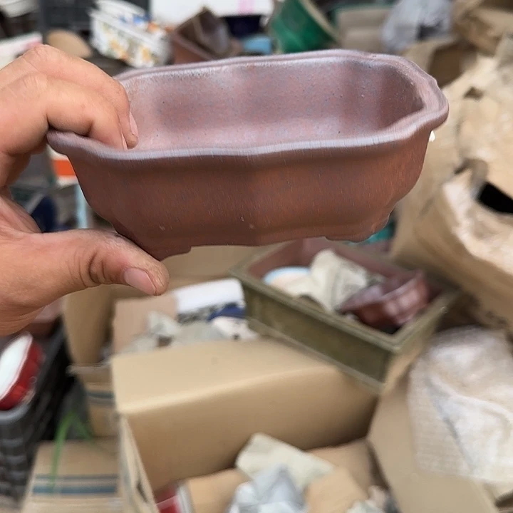 在干嘛的我也睡啦一下午