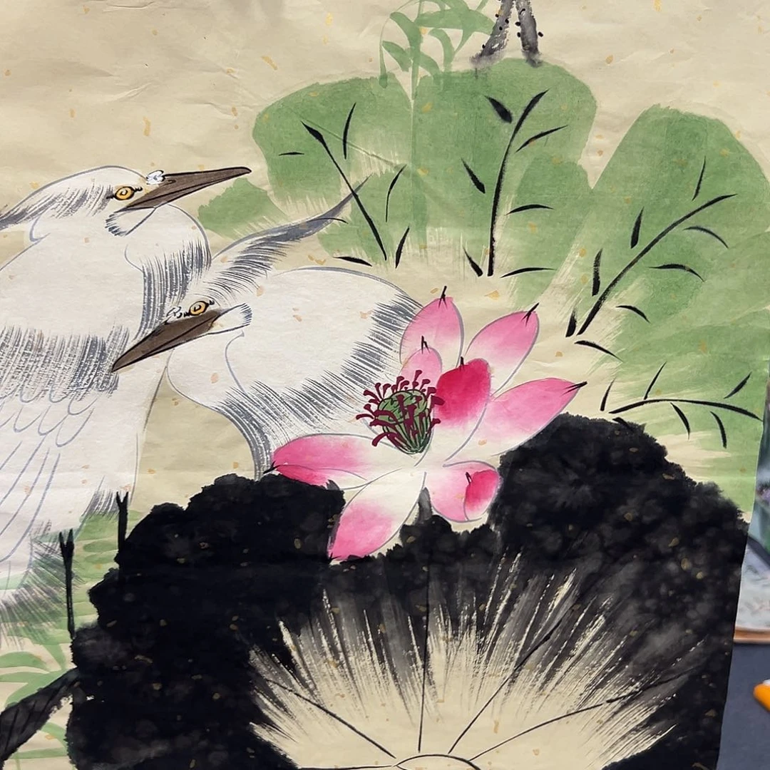 新号开播领福利了