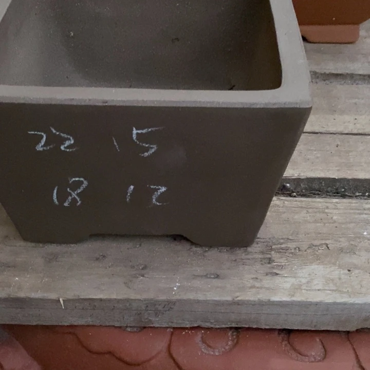 花盆紫砂自己人才