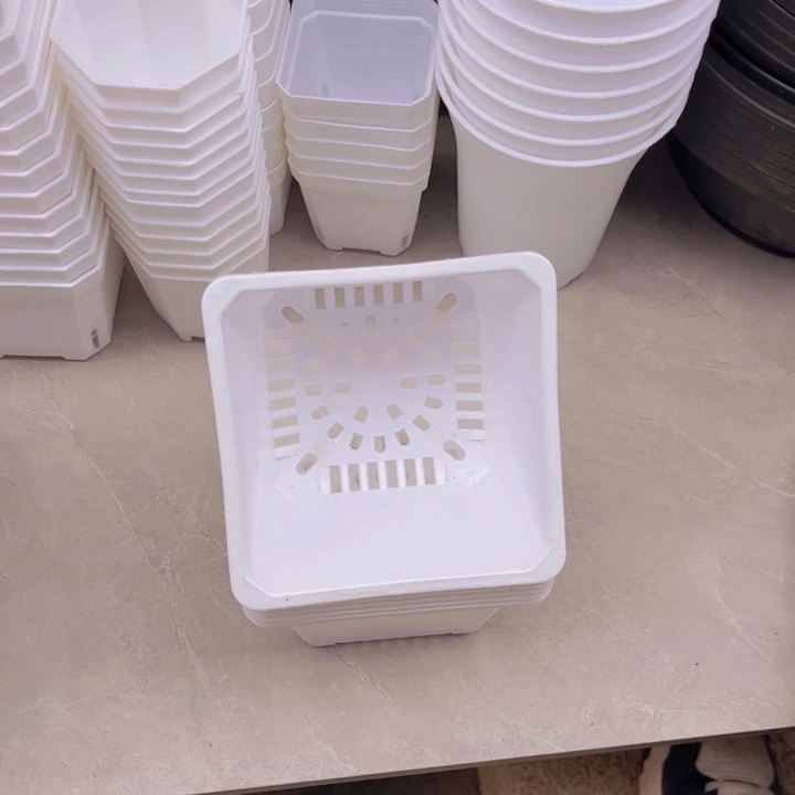 白方口11高8一组20个