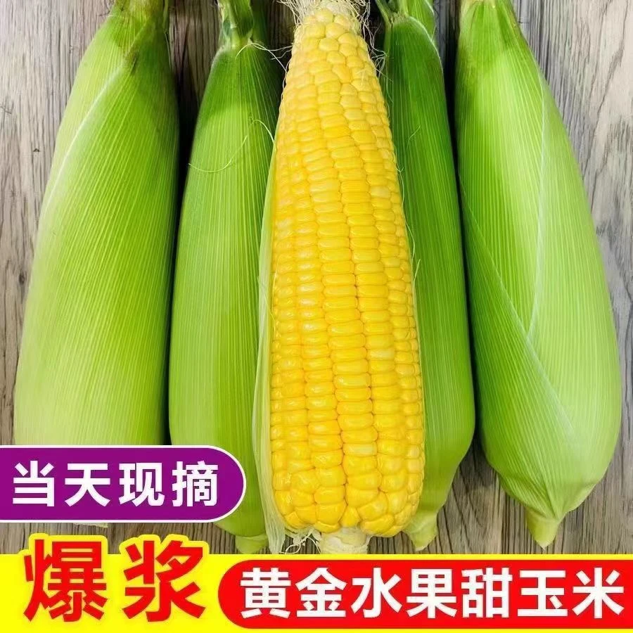 广西新鲜水果玉米脆甜多汁可生吃粗粮早餐代餐