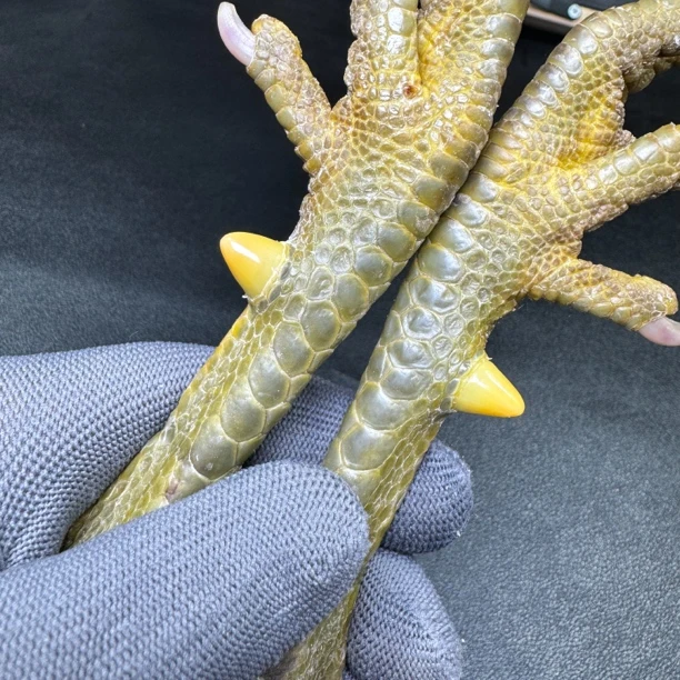 文玩鸡爪骨手把件（一对 处理好发货十天左右发货）