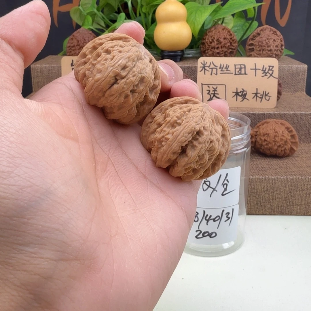 全品密纹38/40/31