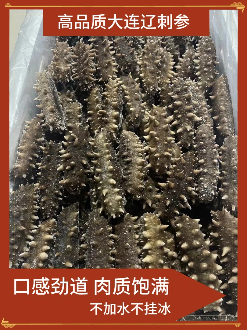 6-15头 500g即食海参 口感Q弹 源头工厂发货