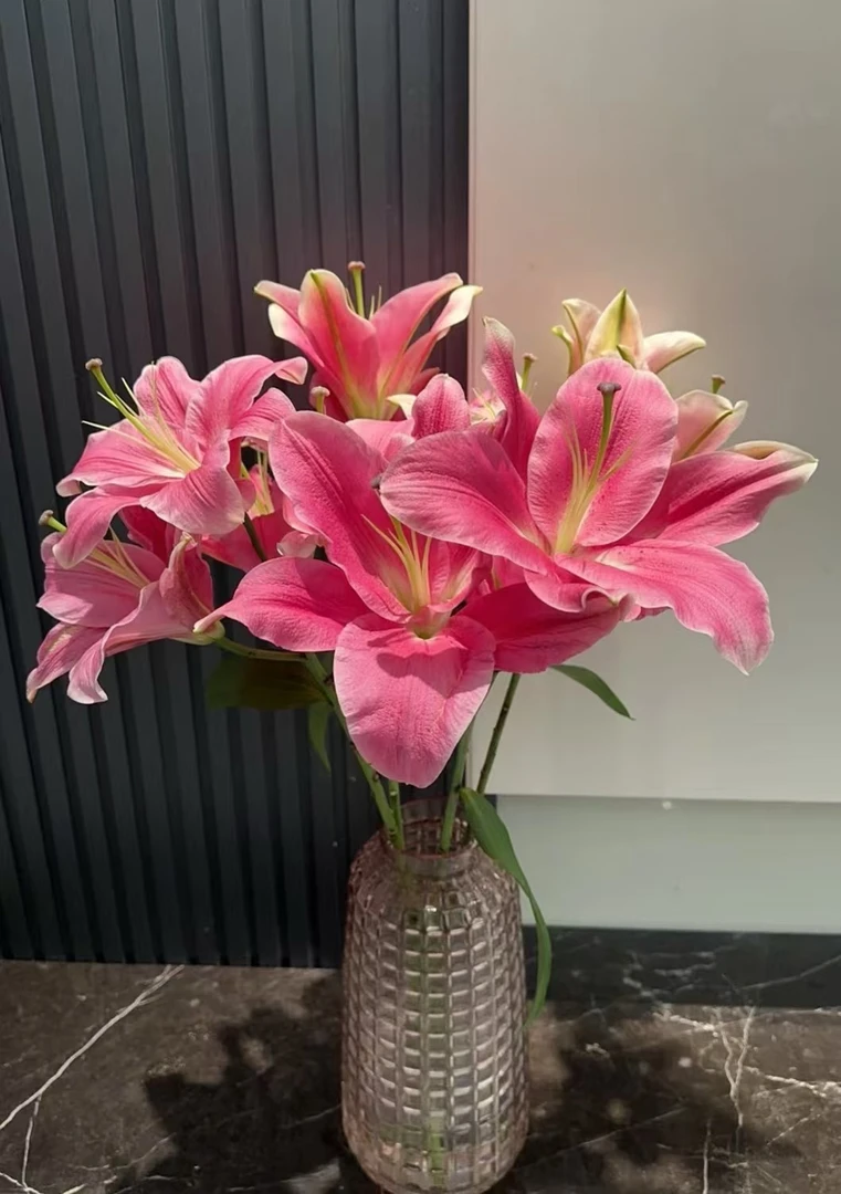 云南鲜花 精品AA级 护卫舰 单瓣香水百合（大花型）