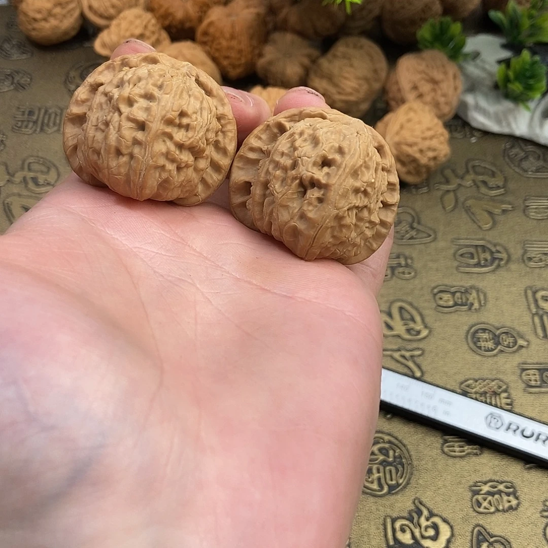 核桃白狮子40尺寸编号581桩型正圆润肉感十足