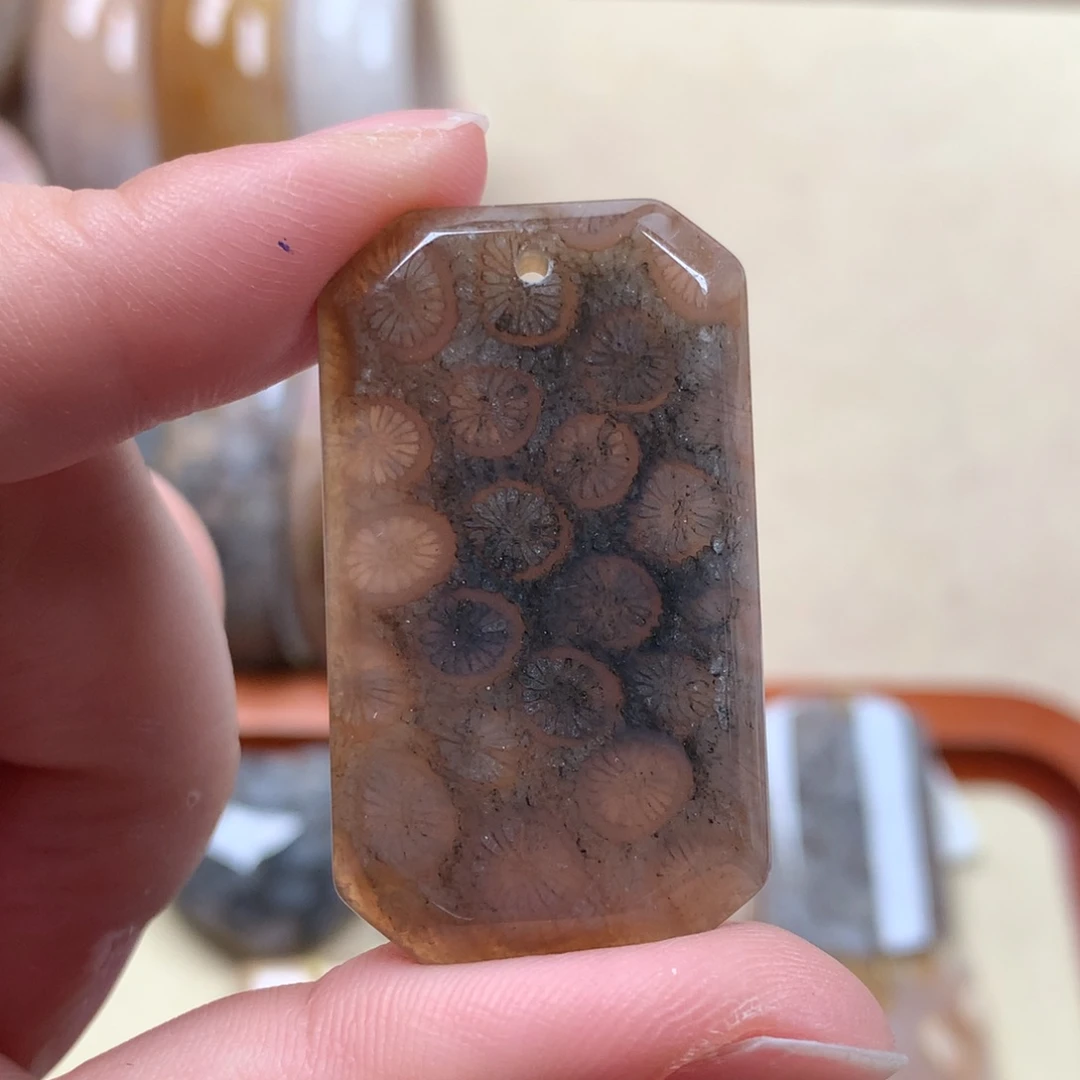 未镶嵌吊坠漏60。硅化珊瑚（珊瑚玉）