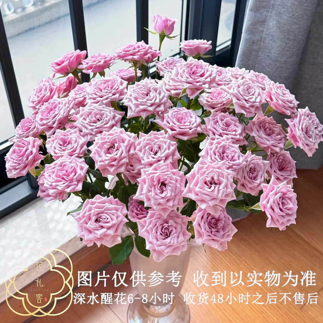 云花巷#多头玫瑰 【诺拉】鲜花优选 顺丰直发养护绿色花朵修剪