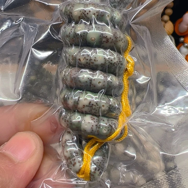 星月菩提手串8大肠