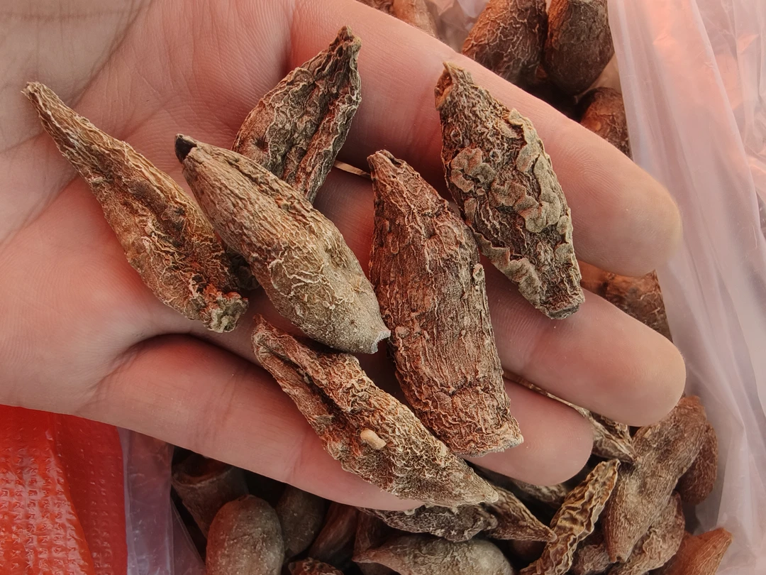李总东南亚山货（郁金）农副产品香菇类