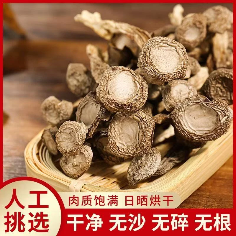 拍1发4 精选鹿茸菇干货鹿茸菇无硫菌菇古田特产净重煲汤好食材TY