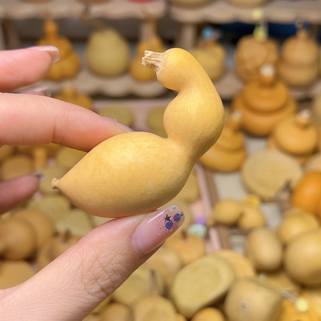 木粗翻嘴弓背蚂蚁