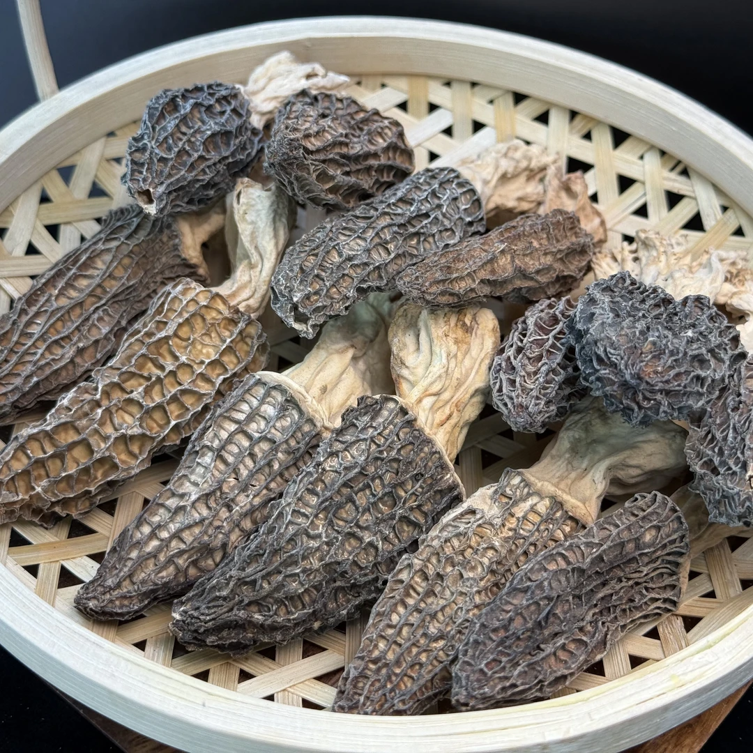 【寻滇土货】羊肚菌