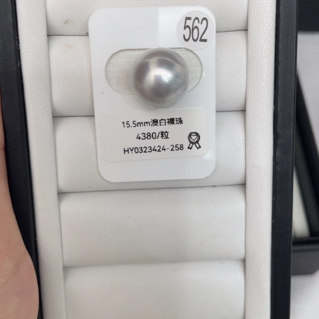 海水珍珠未镶嵌颈饰15.5澳白单珠