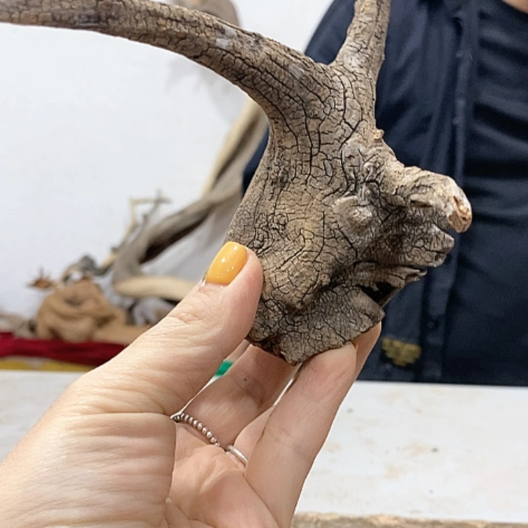 【闪购商品】柏木昊****锅我们都是好孩子