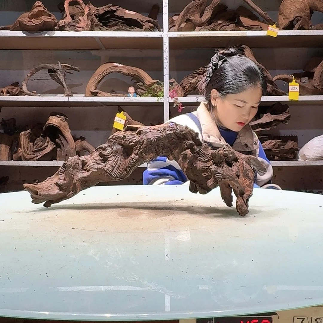 倍褚沉木不包损必褪色宁**远6396