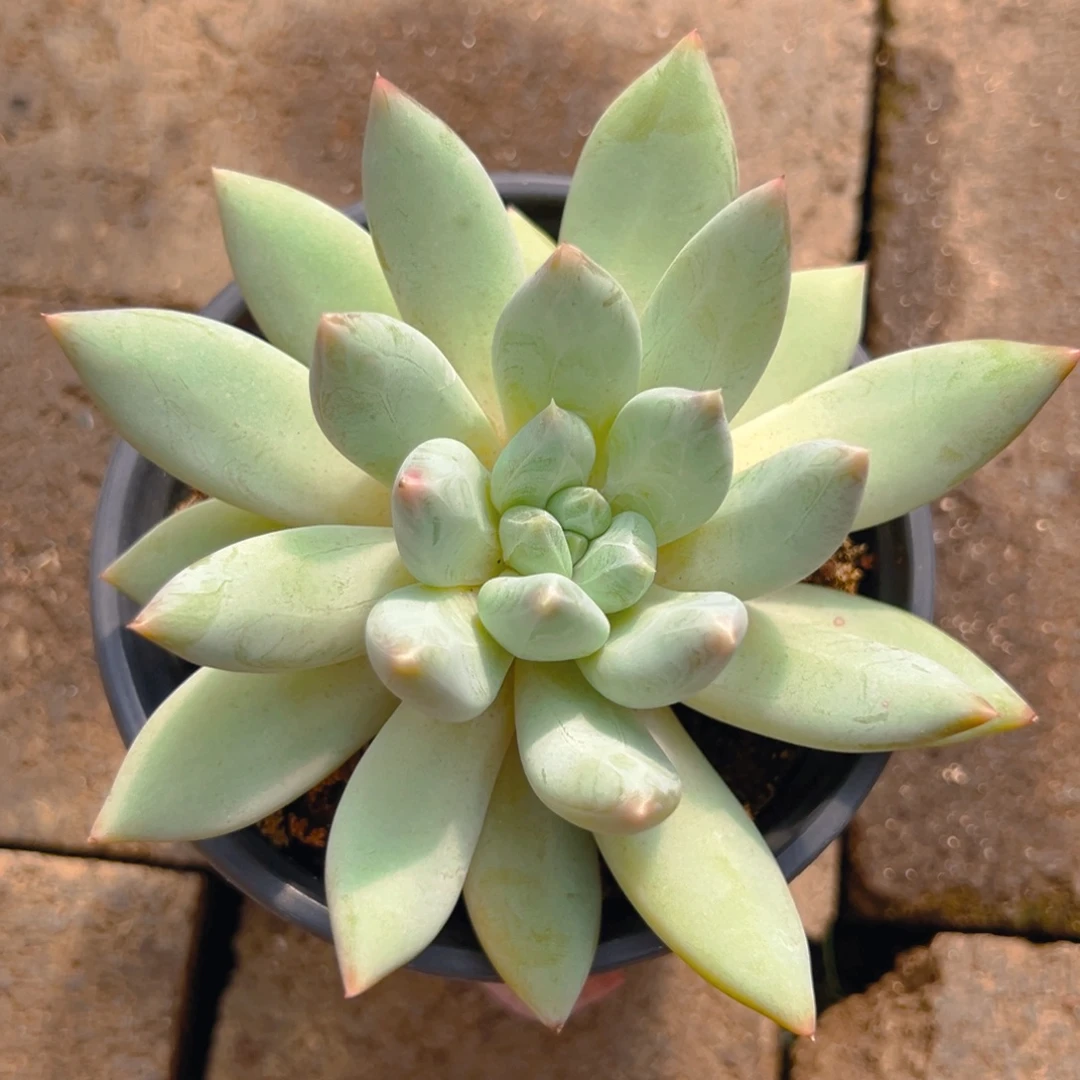 大***o111111111111111111111111111