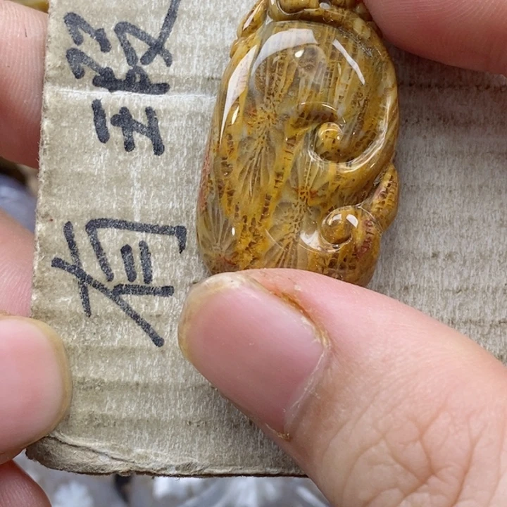 颈饰未镶嵌硅化珊瑚（珊瑚玉）呆***！小
