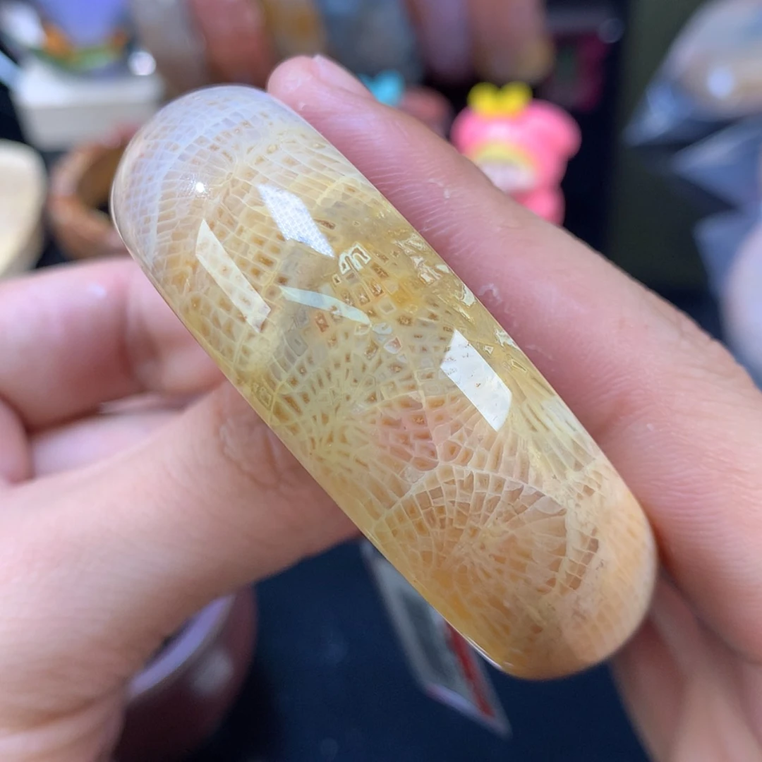 【闪购商品】颈饰未镶嵌硅化珊瑚（珊瑚玉）92号奶龙骨53.4圈