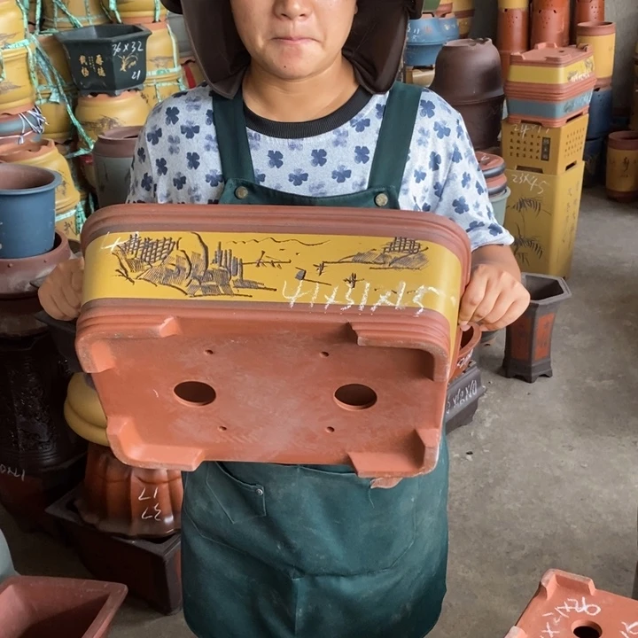 紫砂花盆盆栽花卉苗木种植