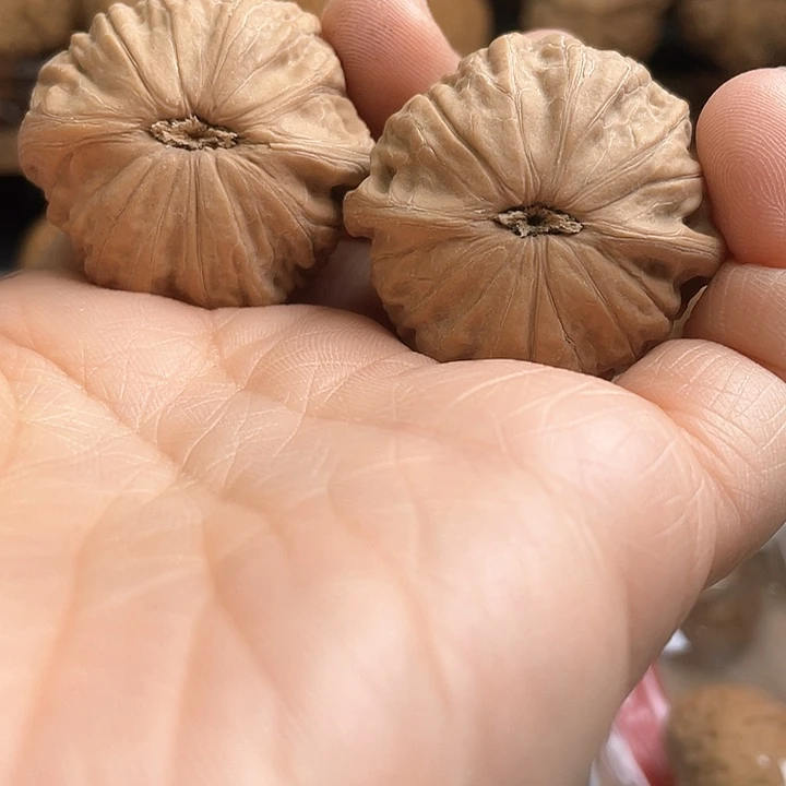 童****?核桃核桃核桃核桃