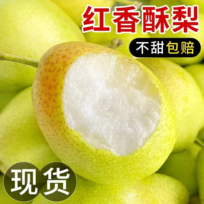 正宗山西龙居红香酥梨当季新鲜水果一整箱批发礼盒装梨子脆甜薄皮