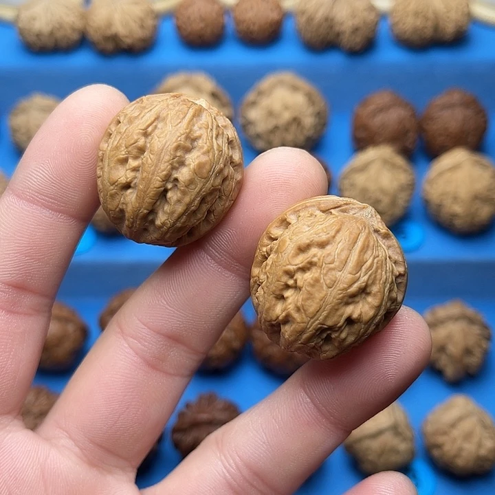 文玩核桃把件小金蛋