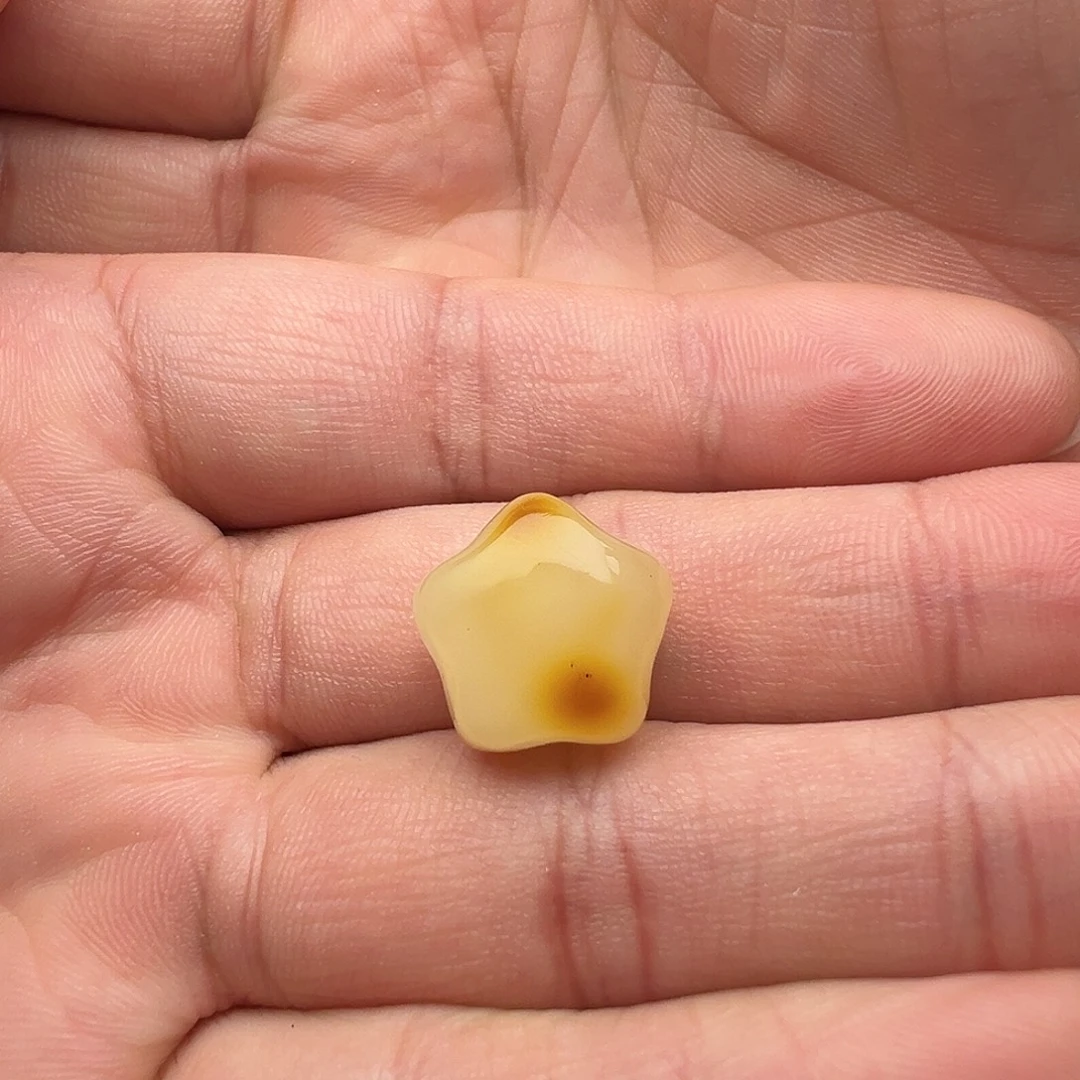 蜜蜡未镶嵌颈饰星星（微瑕漏打孔不退换）