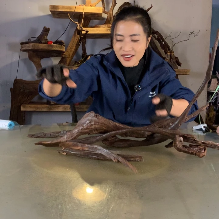 会***罐天然的云南紫柚木会黄水