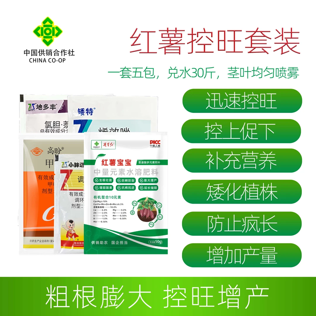 国光红薯土豆大蒜丹参专用控旺膨大营养升级版套餐控上促增产