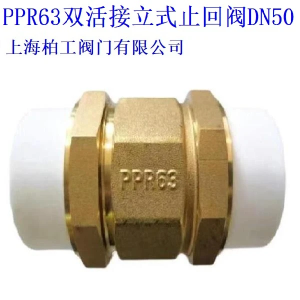 PPR双活接黄铜立式止回阀卧式止回阀DN15DN20DN25DN32DN40DN50