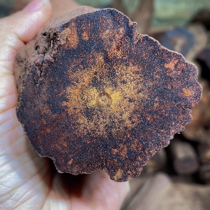 降真香手串/手链定制缅甸小叶降真香