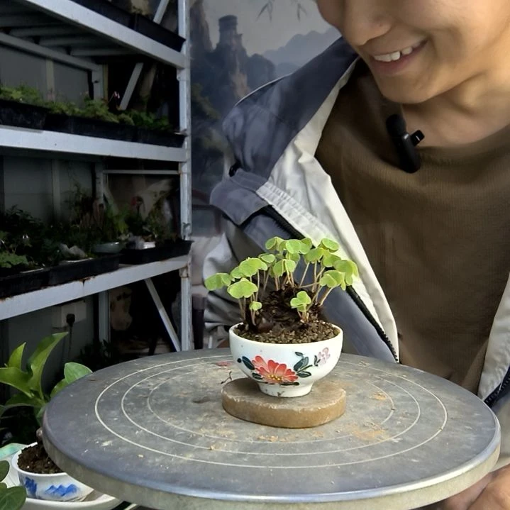 北**拳中青园艺一物一拍19
