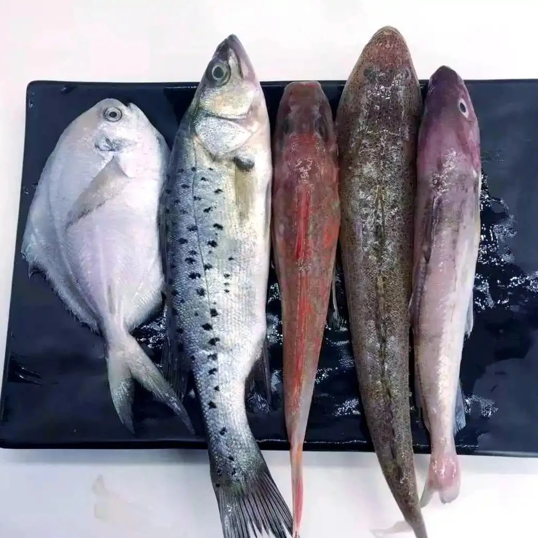 海杂鱼现场拼单实物重量以直播间为准