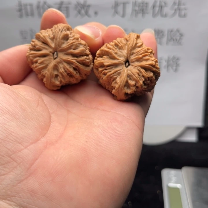 K***i文玩核桃把件涿鹿南将石