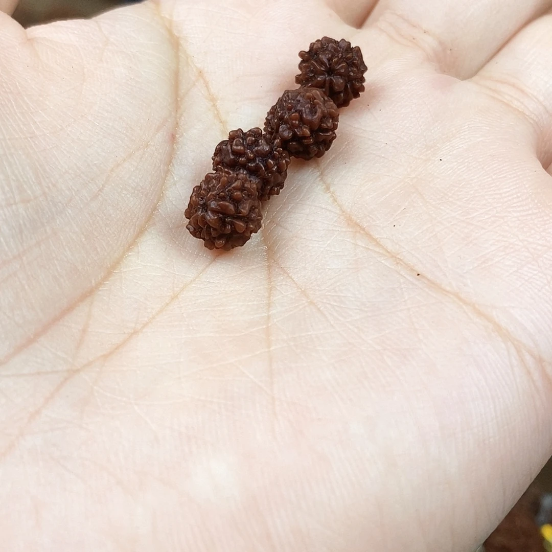 手串金刚菩提收藏版稀有精品无嫁接龙刺108