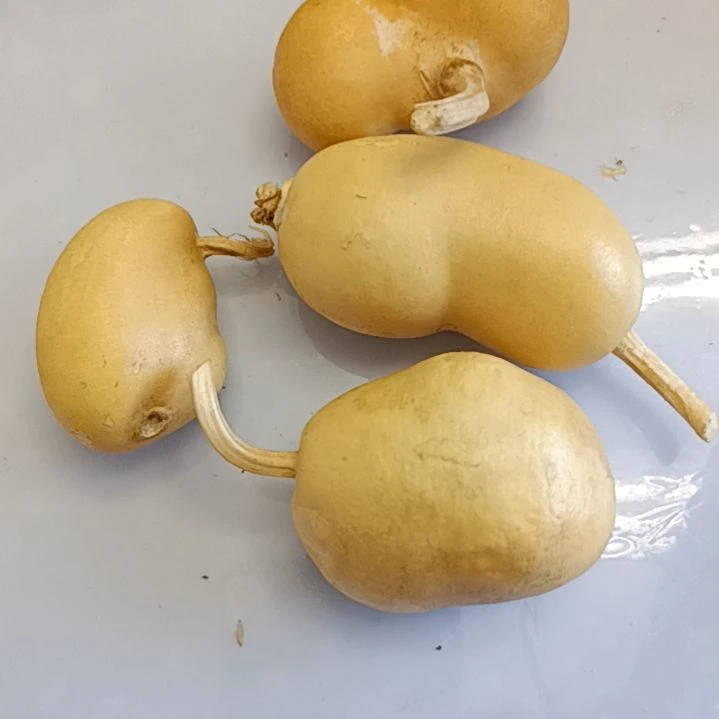 哭***?葫芦葫芦葫芦葫芦葫芦葫芦