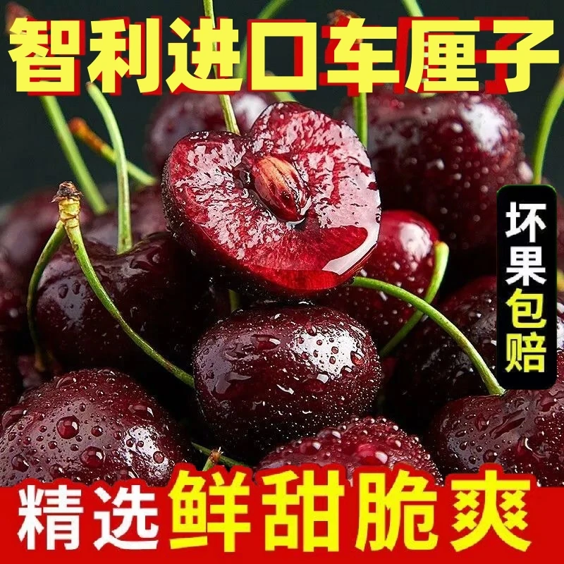 有成【新鲜空运】智利进口车厘子1-3斤J-4J京东顺丰包邮礼盒现货孕妇