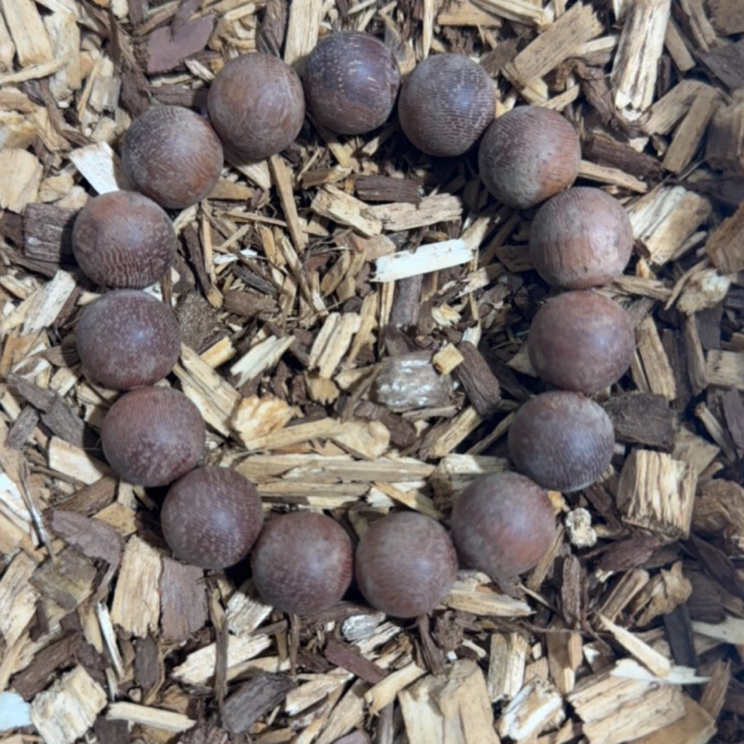 13 思思文玩精选沉香木作手串15mm