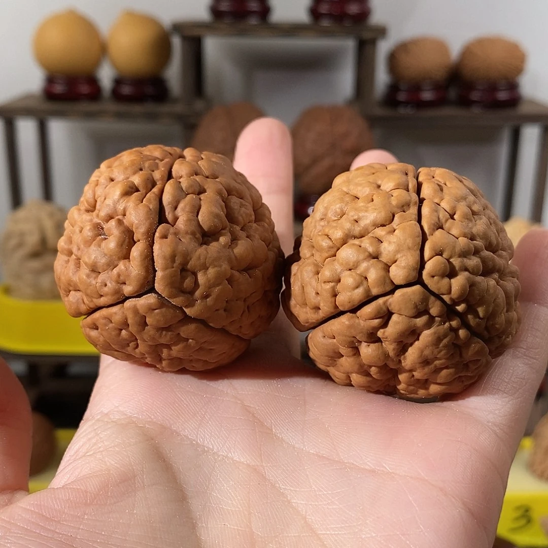 吊坠文玩核桃大**?三瓣脑纹金刚微色4651
