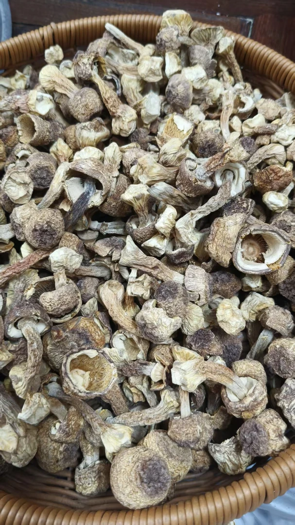 巴西菇干货无熏硫食用菌炖汤佳品
