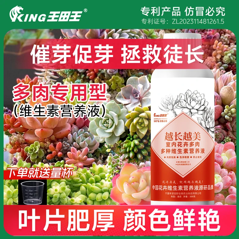王田王多肉专用营养液生根增肉爆芽艳丽防陡长橙梦露白牡丹冲施肥