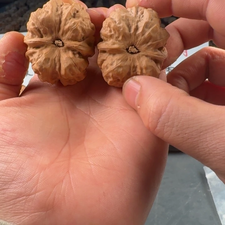 南***烈吊坠文玩核桃蛤蟆的眼睛是真的好看啊我的