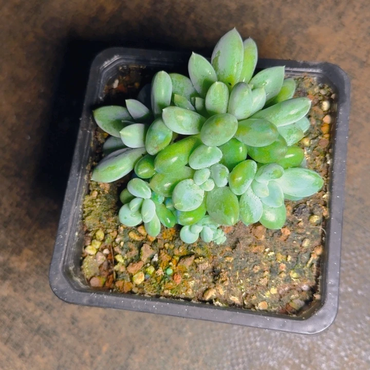 8头福利11111111111