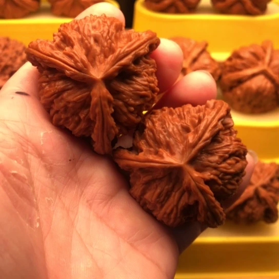 吊坠文玩核桃核桃核桃咯核桃核桃核桃