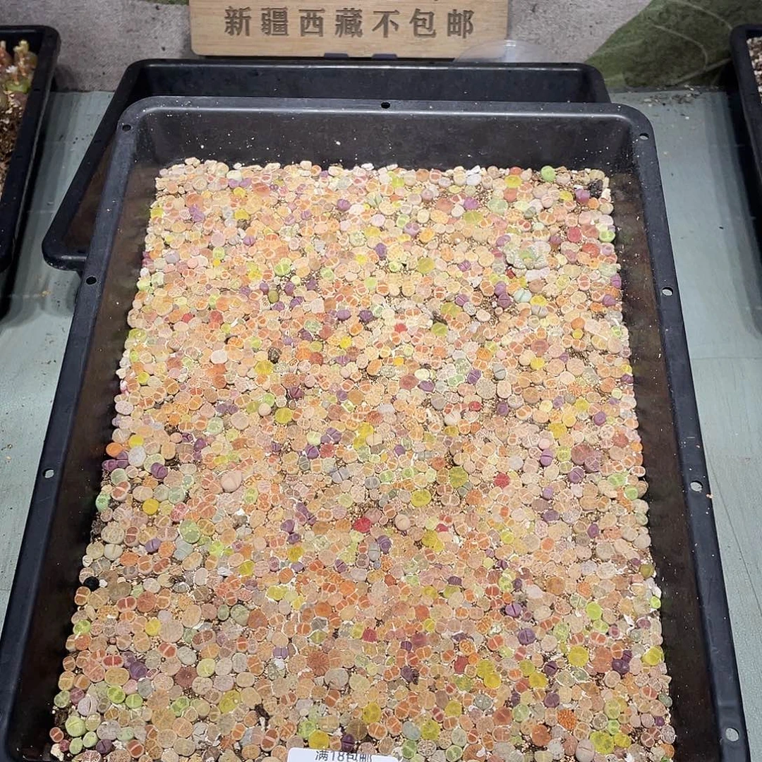 当天凑满十八元包邮781