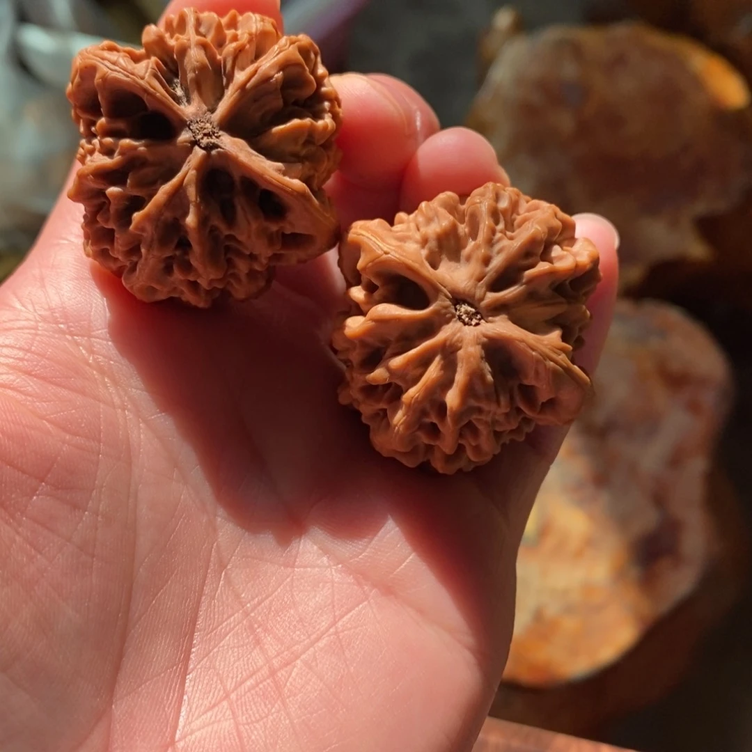 秦岭野生核桃秦闷